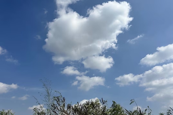 1697447110395337.jpeg D05E005C@30DE5C00.7A4D2765.jpg(1).jpg